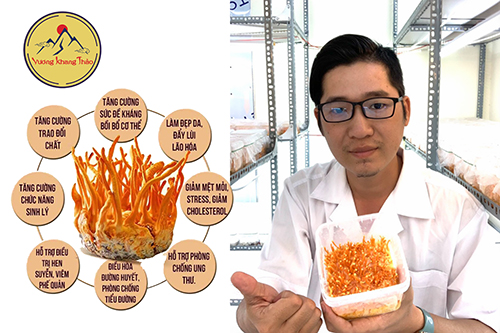 HỢP TÁC XÃ NUÔI TRỒNG NẤM ĐÔNG TRÙNG HẠ THẢO KON TUM