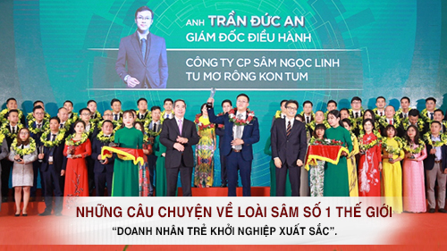 Những câu chuyện về loài sâm số 1 thế giới: Duyên nợ của ông chủ trẻ