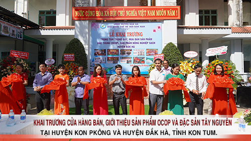 Khai trương 2 cửa hàng bán, giới thiệu sản phẩm OCOP và đặc sản Tây Nguyên tại huyện Kon Plông và huyện Đắk Hà, tỉnh Kon Tum.